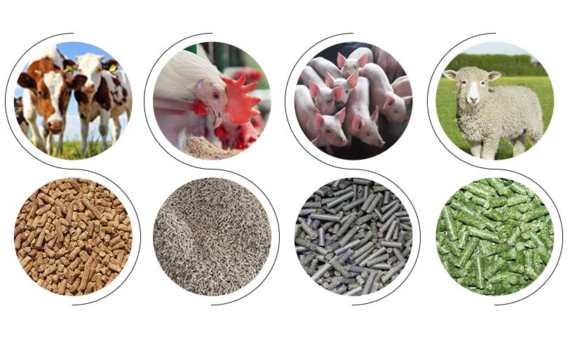 different kinds of animal feed pellets