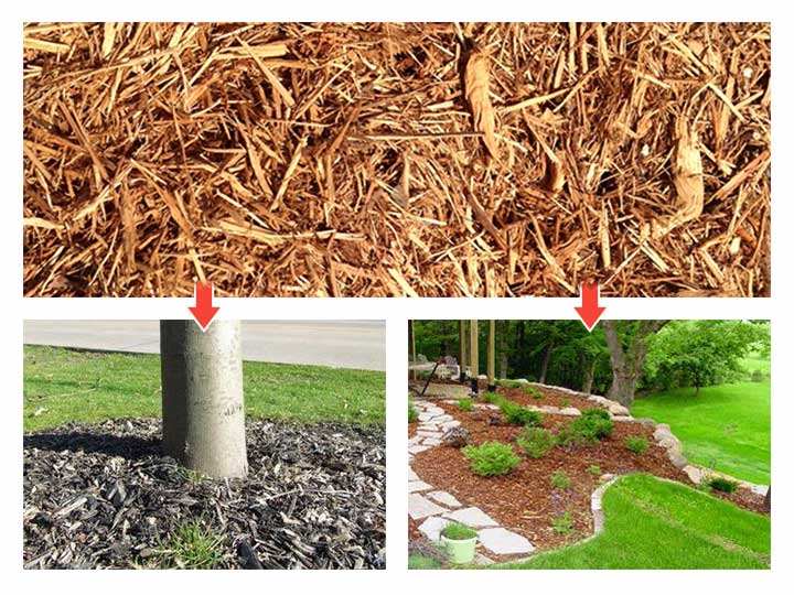 Wood chips are used for insulation and water retention